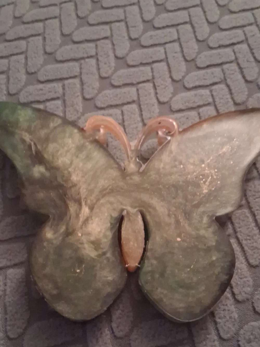 Handmade Bronze and Green Butterfly Wall Plaques